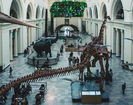 Field Museum