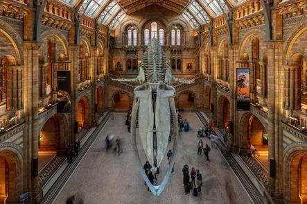 Natural History Museum