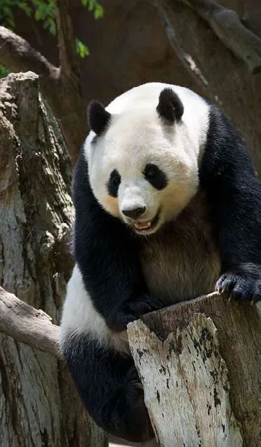 San Diego Zoo